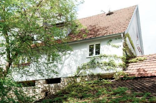 Hotel Adler