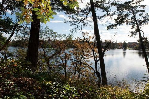 Waters Edge, 2 Bed Gorge Waterfront Suite