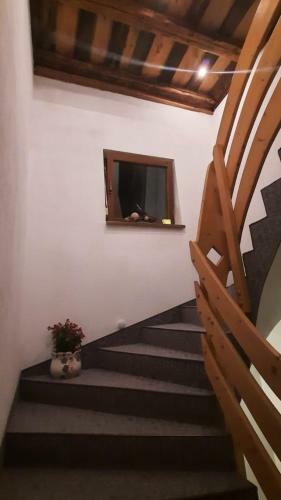 Apartment Suzana