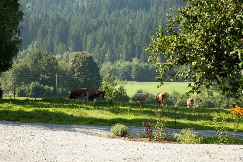 Landhotel Bayerwald