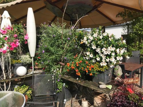Hotel Schwarzw�lder Hof