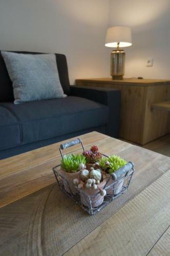 Apartamentos Blugarden Ferienapartments Im Spreewald