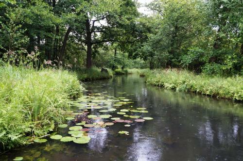 Apartamentos Blugarden Ferienapartments Im Spreewald