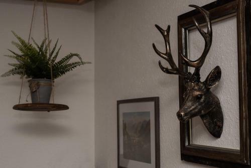 Apartment, Haus Lederer