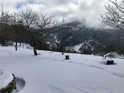 Lodge Mikro Katafygio - ???????? ????? ???? ??????