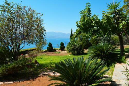 Villa View-topia