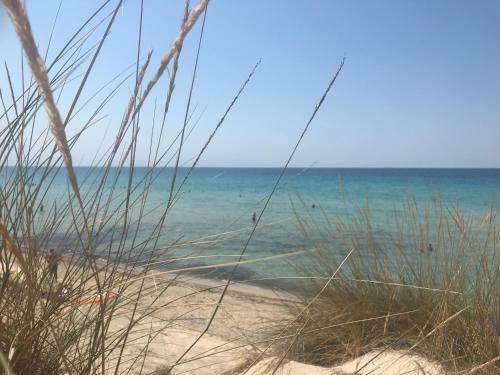 Ariadni Villa Sani