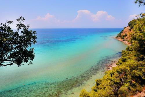 Ariadni Villa Sani