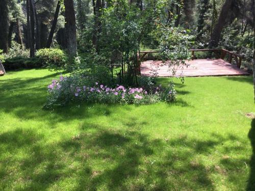 Beautiful Summerhouse In Sani's Pine Forest