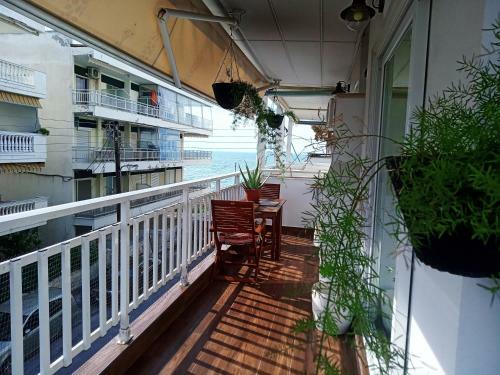 T&f Apartment