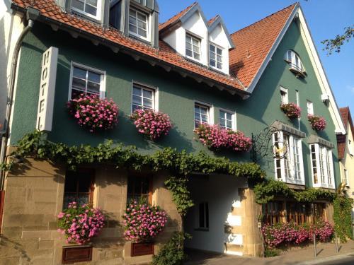 Hotel Adler Botenheim