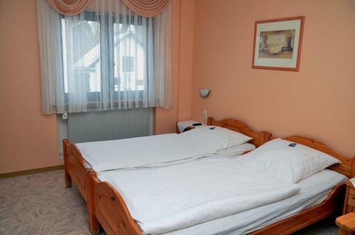 Hotel Sassor