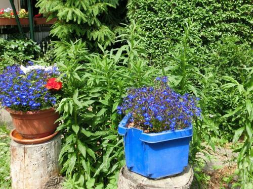 Gorgeous Holiday Home In Cattenstedt Harz With Terrace