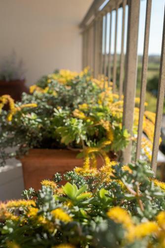 Apartamento Splendido Appartamento Con Terrazza Panoramica Sulla Campagna Versiliese