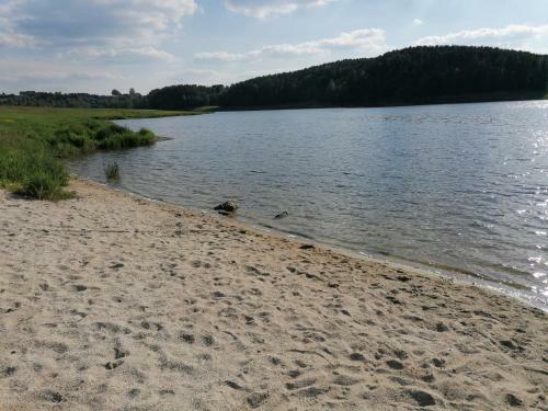 Apartamento Ferienwohnung In Neunburg V. Wald