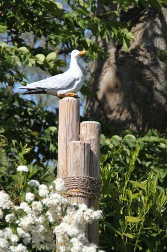Ferienhof K�hler
