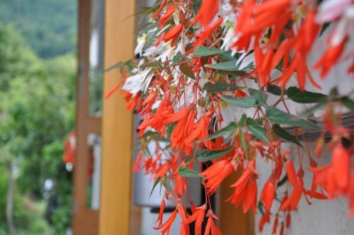 Hotel Landgasthof H�lzle