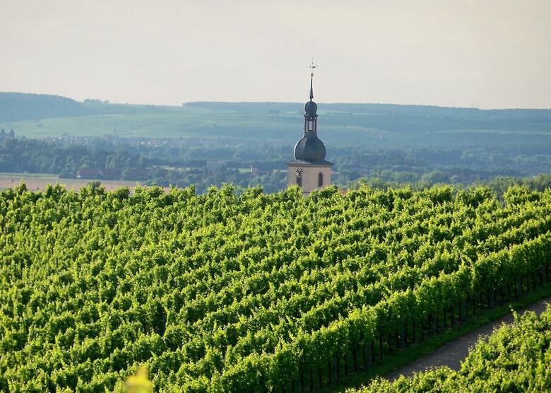 Hostal Landhotel Und Weingasthof Schwarzer Adler