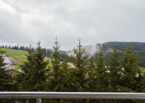 Apartamento Appartement - Weltringpark 2-d Winterberg