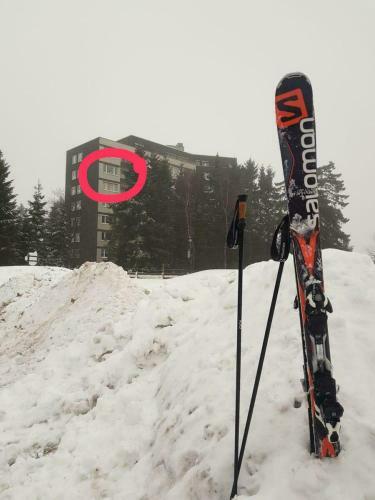 Apartamento Appartement - Weltringpark 2-d Winterberg