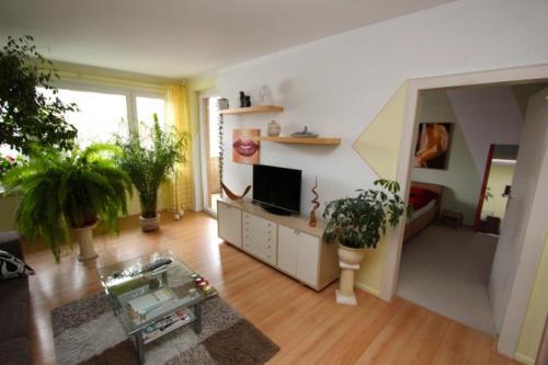 Private Apartment South City Best (1912)