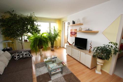 Private Apartment South City Best (1912)