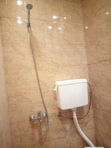 Wonderful Apartment In Pazardzhik Center