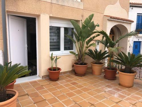 Hostal La Flor Del Para�so