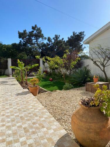 Albergue Pachamama Surfhouse Surf&yoga