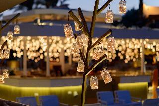 Hotel Desert Rose Resort