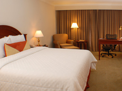 Hotel Hilton Garden Inn Monterrey