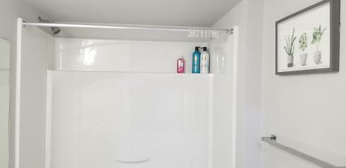 Luxurious 2 Bedroom Basement Suite