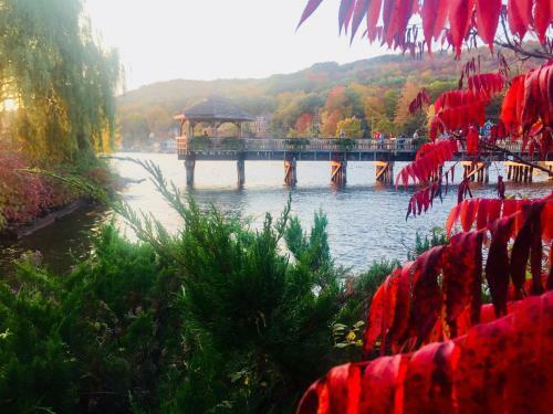Apartamento L'appartement de La Suite North Hatley