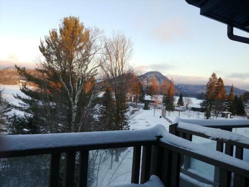 Apartamento L'oasis, Lac Et Ski Mont-tremblant