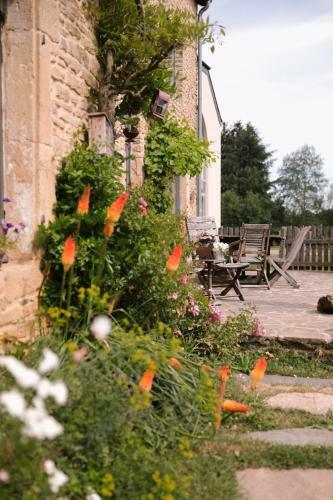 Bed & Breakfast Les Chambres Du Chat