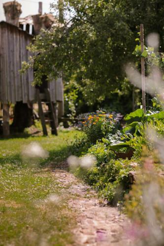 Bed & Breakfast Les Chambres Du Chat