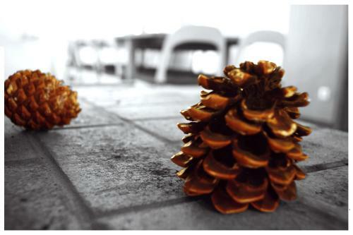 G�te Pause Nature Saint-hubert