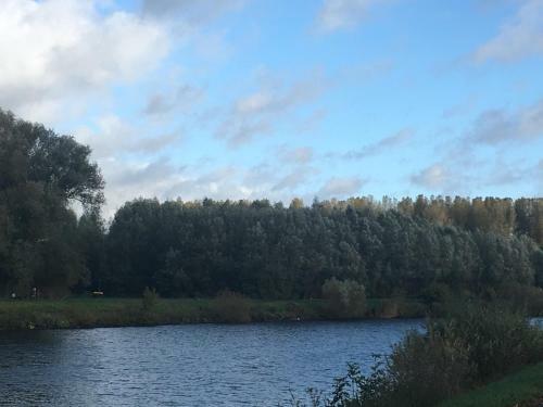 Scheldewegel Vakantiehuis