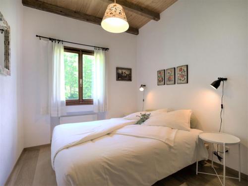 Apartment Chesa Seglias