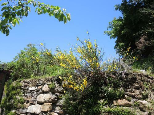 Apartamento Rustico Gino