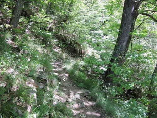 Apartamento Rustico Gino