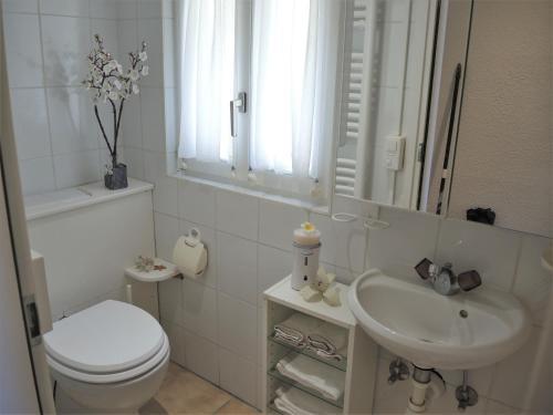 Apartamento Rustico Gino