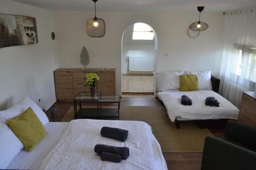 Attic Apartment With A View