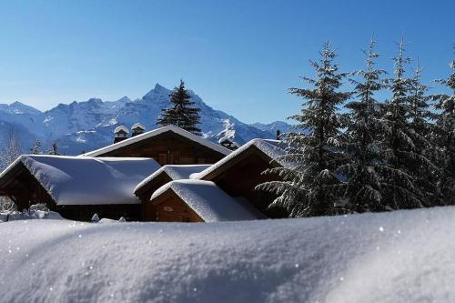 Cozy Apartment With Stunning View! Ski-in/ski-out.