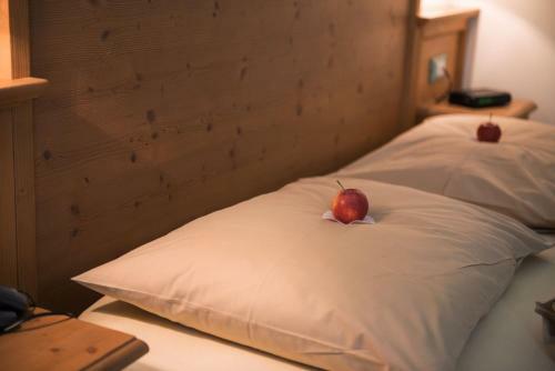 Natur Pur Hotel Unterpichl