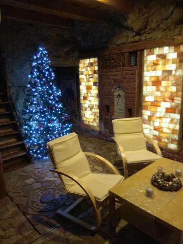 Apartamento U Vodn�ka