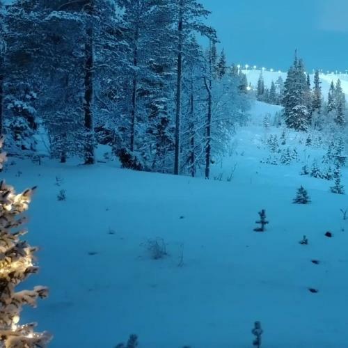Apartamento Yll�s Saaga Chalets 2x Skipasses Incklusive