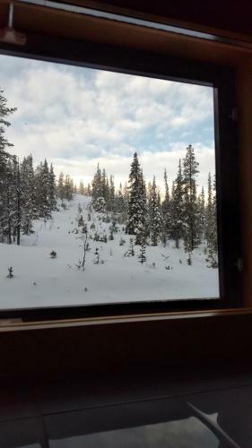 Apartamento Yll�s Saaga Chalets 2x Skipasses Incklusive