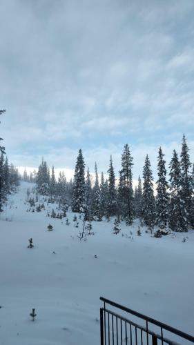 Apartamento Yll�s Saaga Chalets 2x Skipasses Incklusive