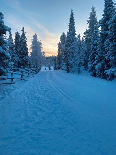 Apartamento Ruka Chalet Gulogulo